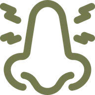 Sinus treatment icon