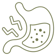 Stomach (Gastro) treatment icon