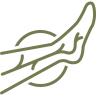 Varicose Veins treatment icon