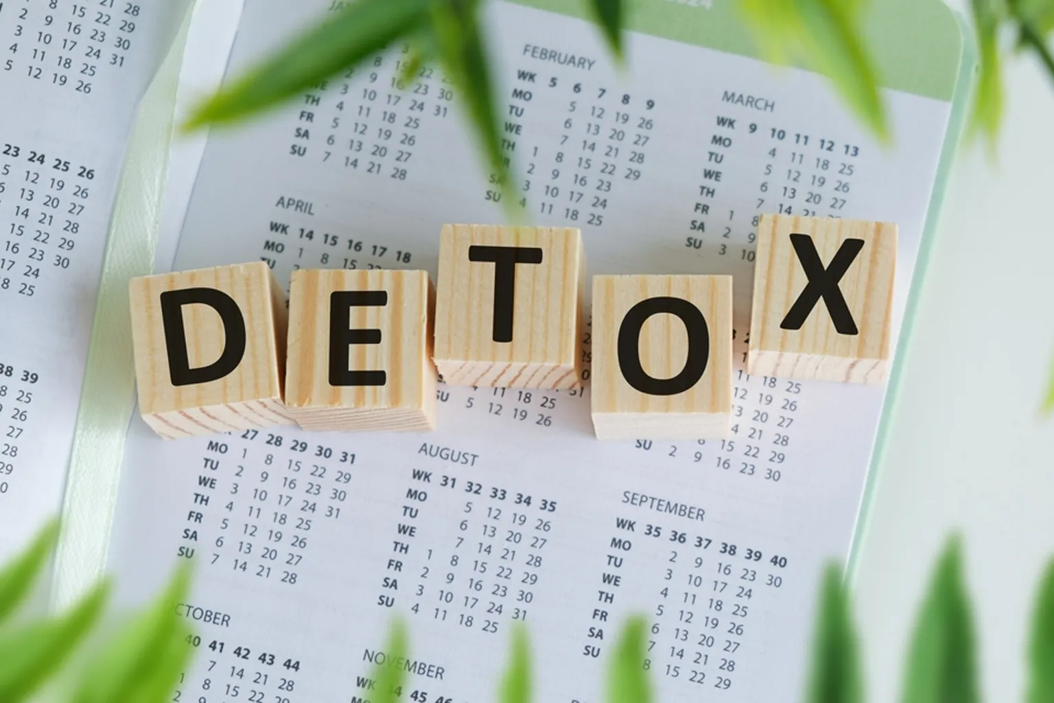Detoxification