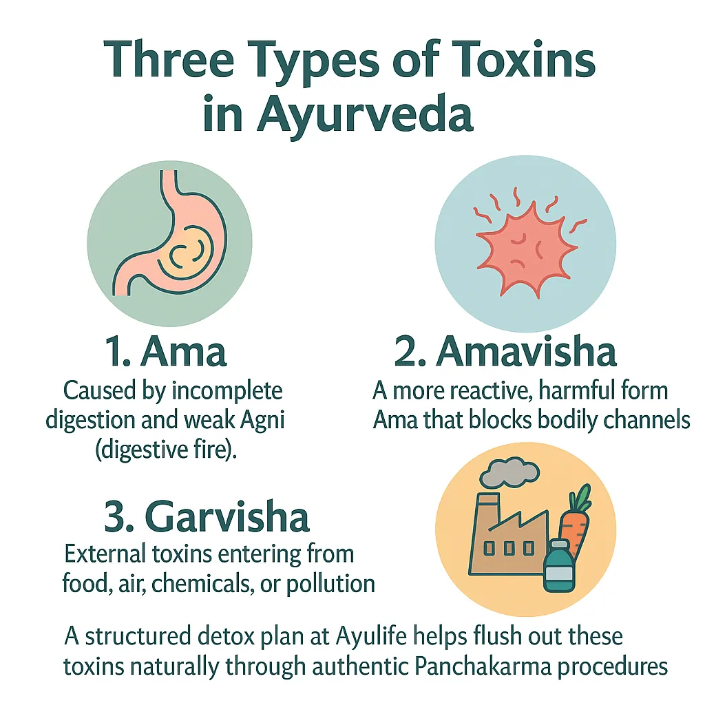 Detoxification toxins overview
