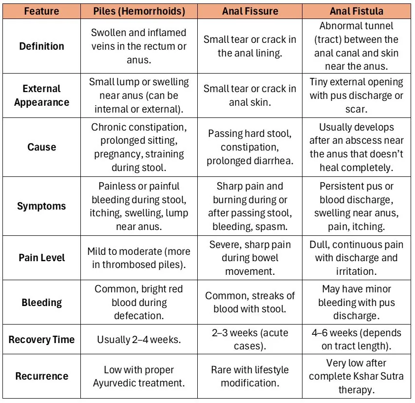 Ayulife team with patients