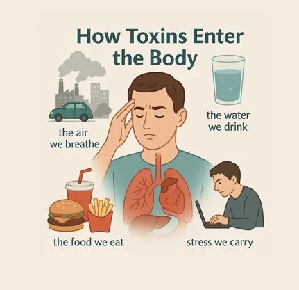 Panchakarma detox process
