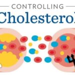Controlling-Cholesterol-in-Ayulife