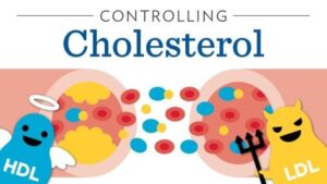 Controlling-Cholesterol-in-Ayulife
