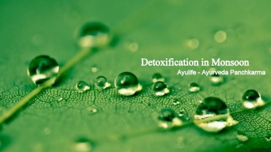 Detoxification-in-Ayulife