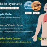 Kapha-Dosha-in-Ayulife-Ayurveda