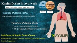 Kapha-Dosha-in-Ayulife-Ayurveda